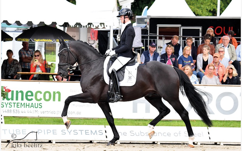 St. Emilion - Afbeelding 2