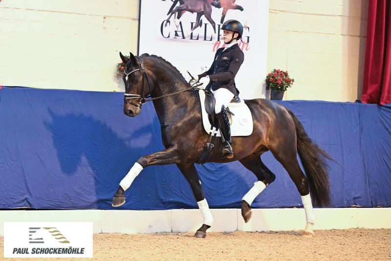 Escanto PS - Afbeelding 2