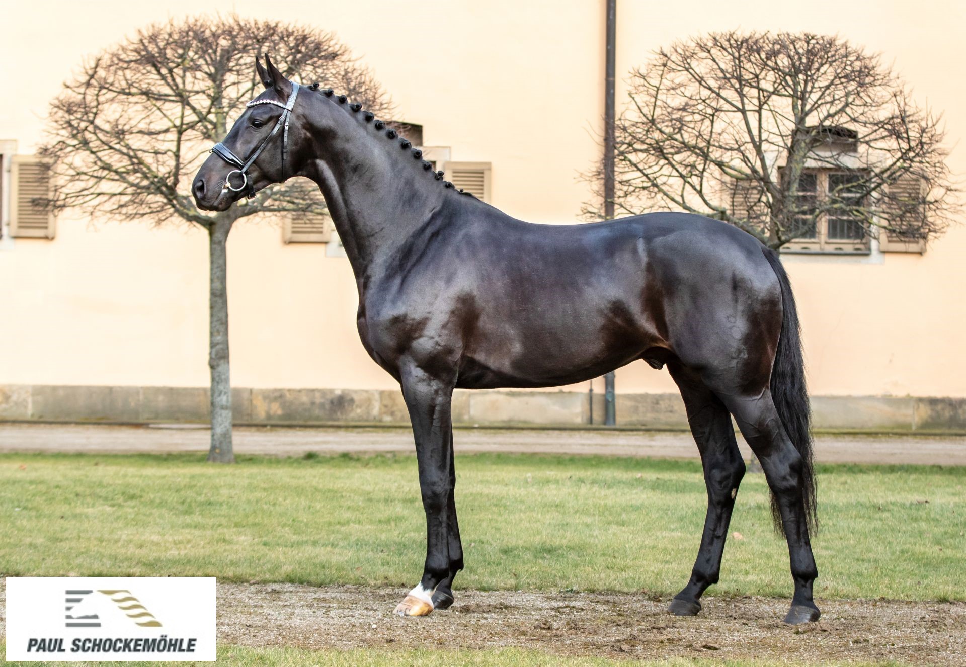 Fair Deal - Afbeelding 2