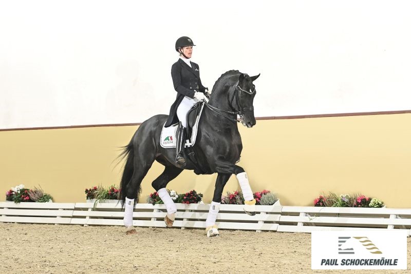 Fürst Zonik PS - Afbeelding 2