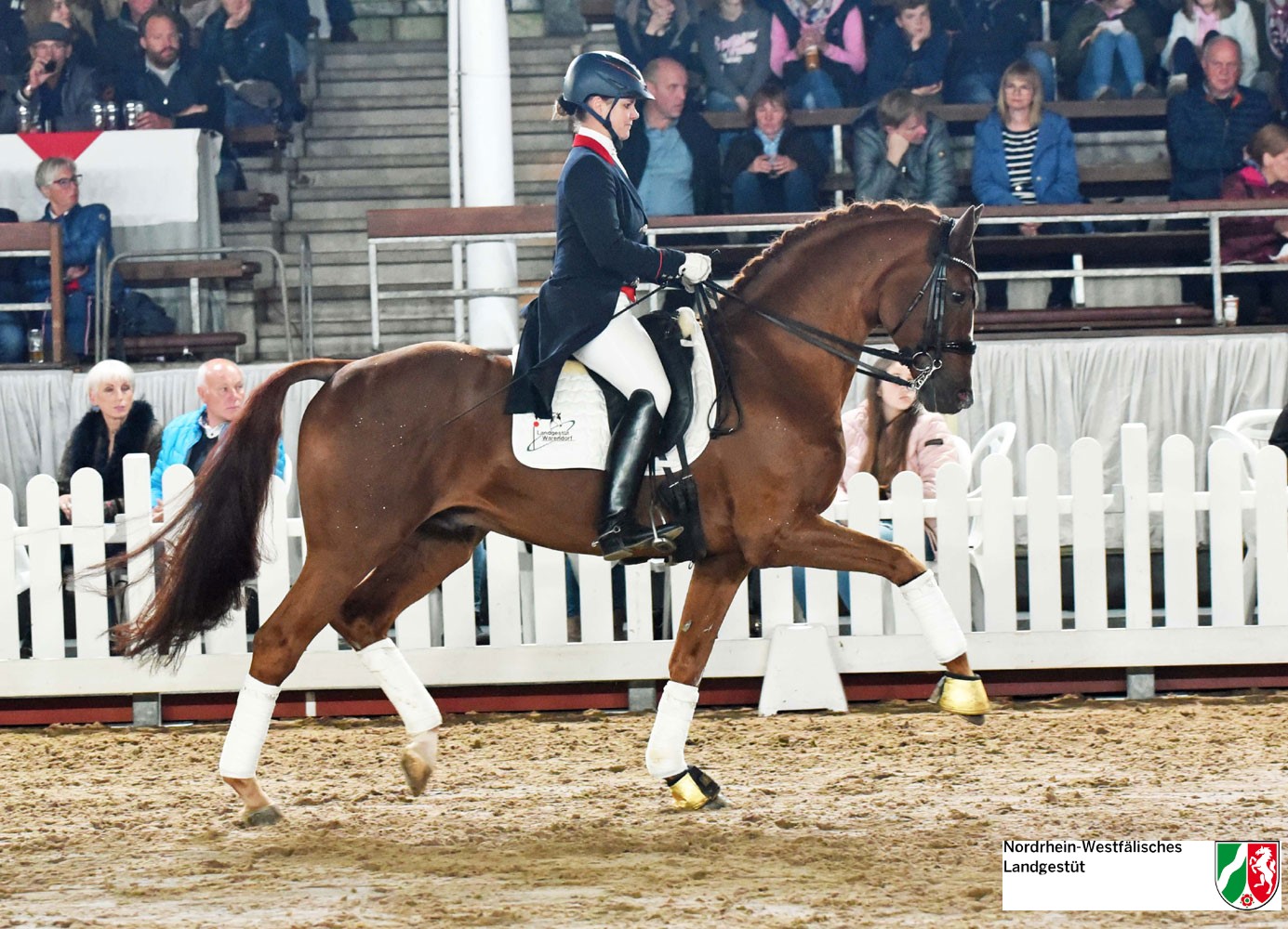 Sir Heinrich - Afbeelding 2