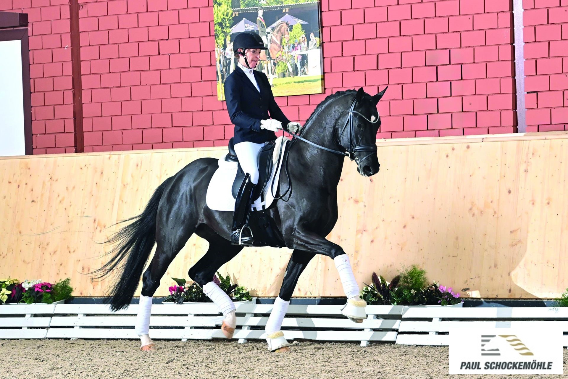 Total PS - Afbeelding 2