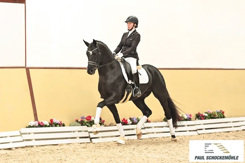 True Hope PS - Afbeelding 2