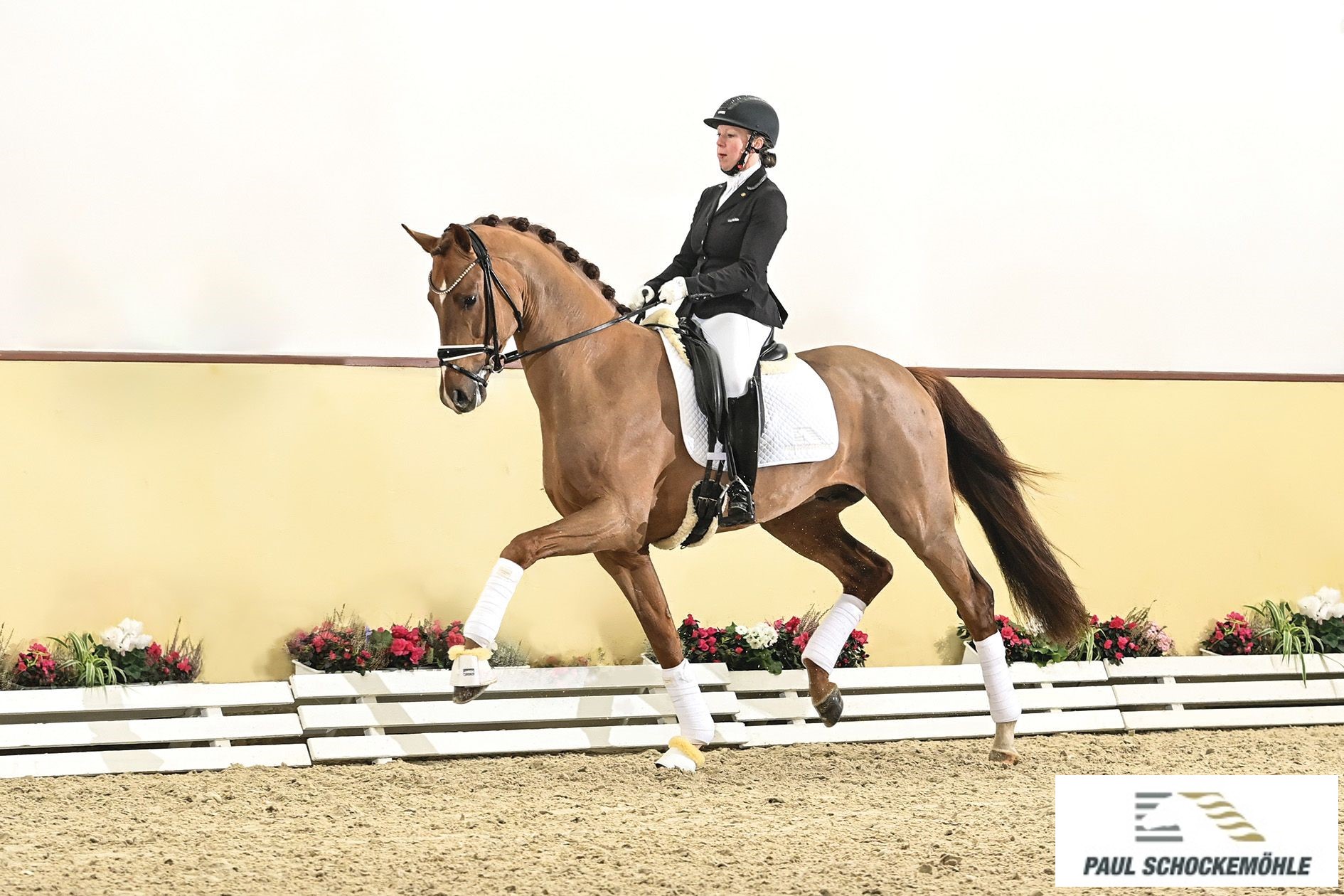 Viva Romance PS - Afbeelding 2