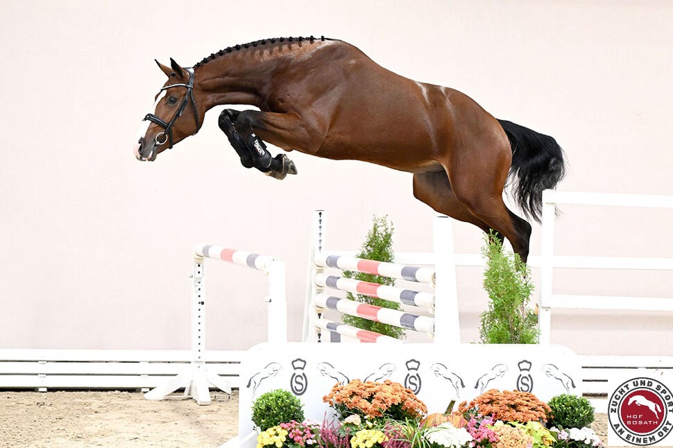 Candy Cumano - Afbeelding 2