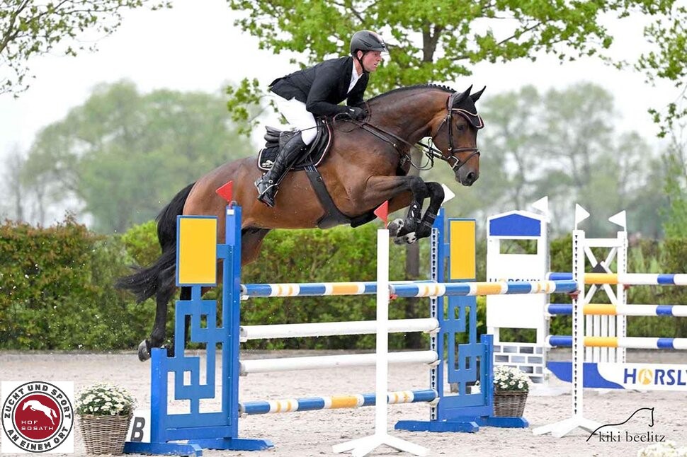 Diamant de Plaisir II - Afbeelding 2