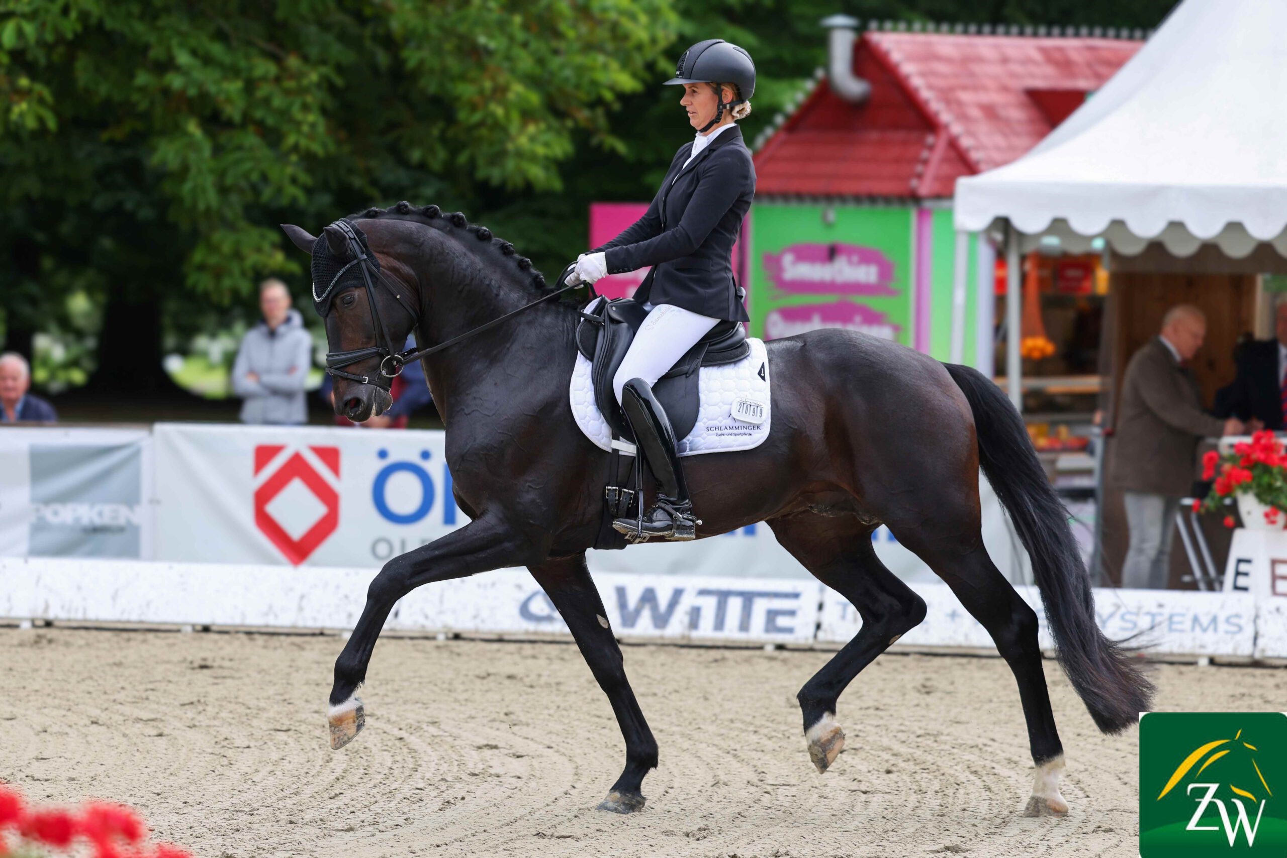 Tesino RS - Afbeelding 2