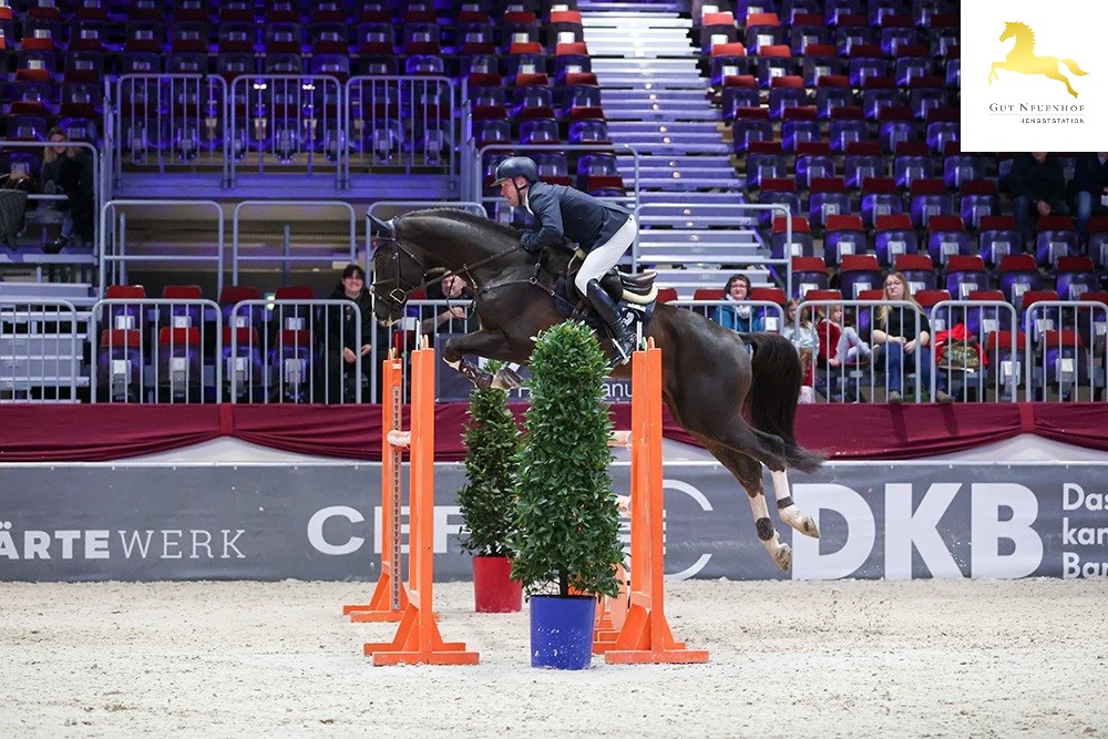 Nikan's Diamant - Afbeelding 2